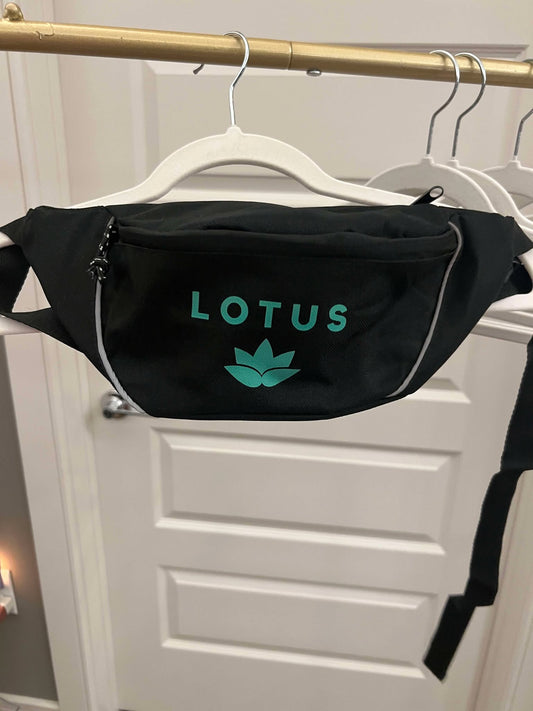 BG905 Port Authority ® Hip Pack